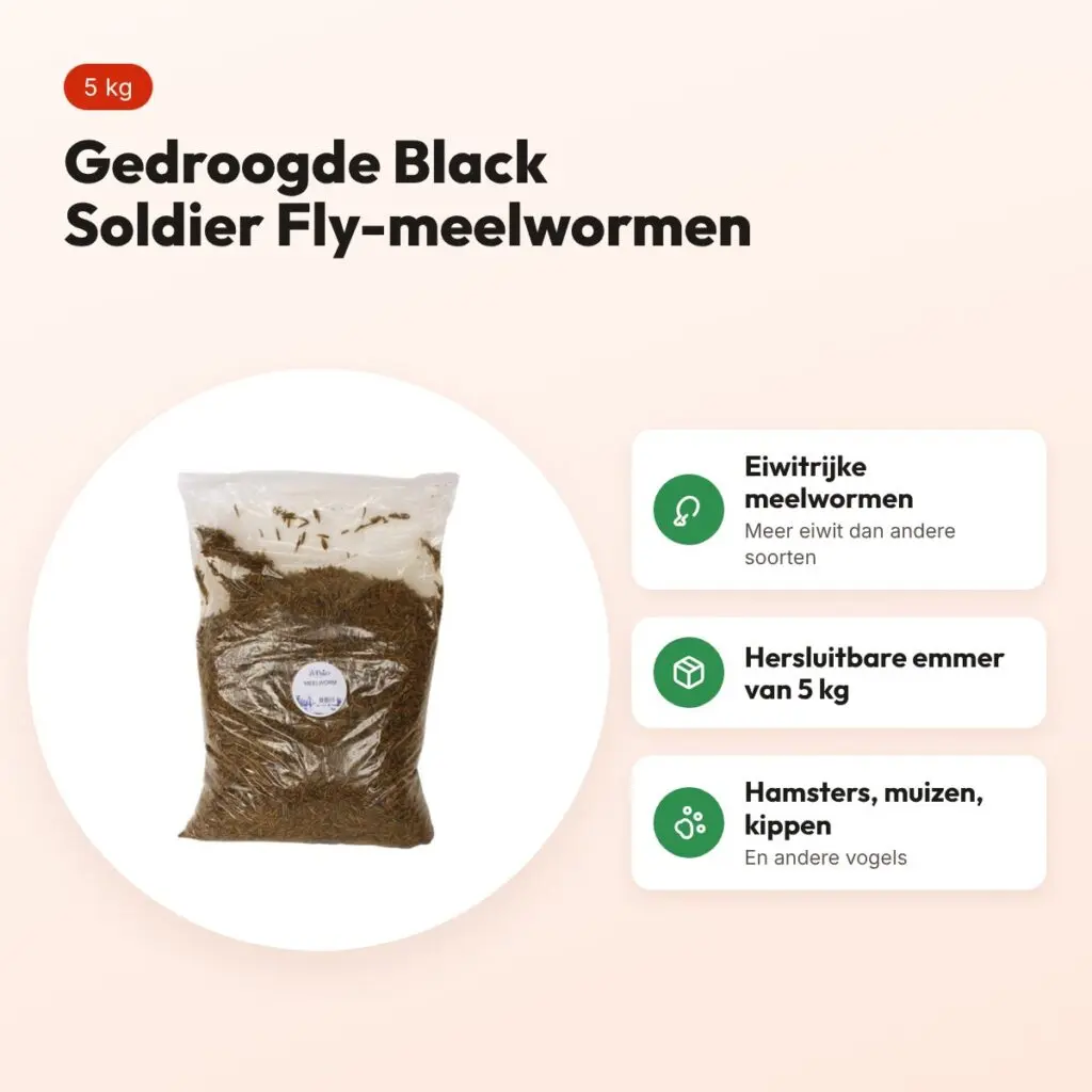 De Vries Black Soldier Fly meelwormen 5 kg – gedroogd, eiwitrijk – voordelen
