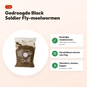 De Vries Black Soldier Fly meelwormen 5 kg – gedroogd, eiwitrijk – voordelen