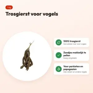De Vries trosgierst 1 kg – aanvullend voer voor vogels – voordelen