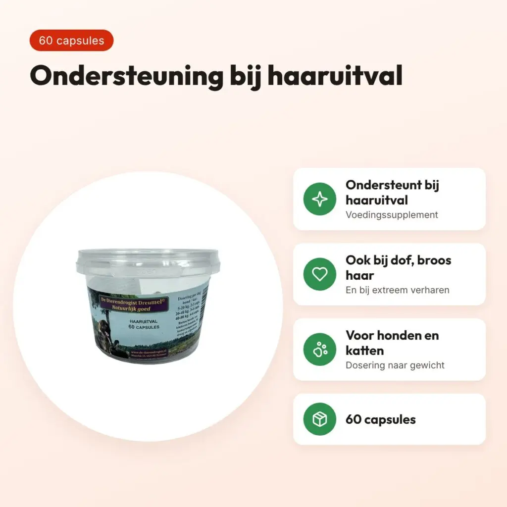 Dierendrogist bij haaruitval capsules 60 stuks – hond en kat – voordelen
