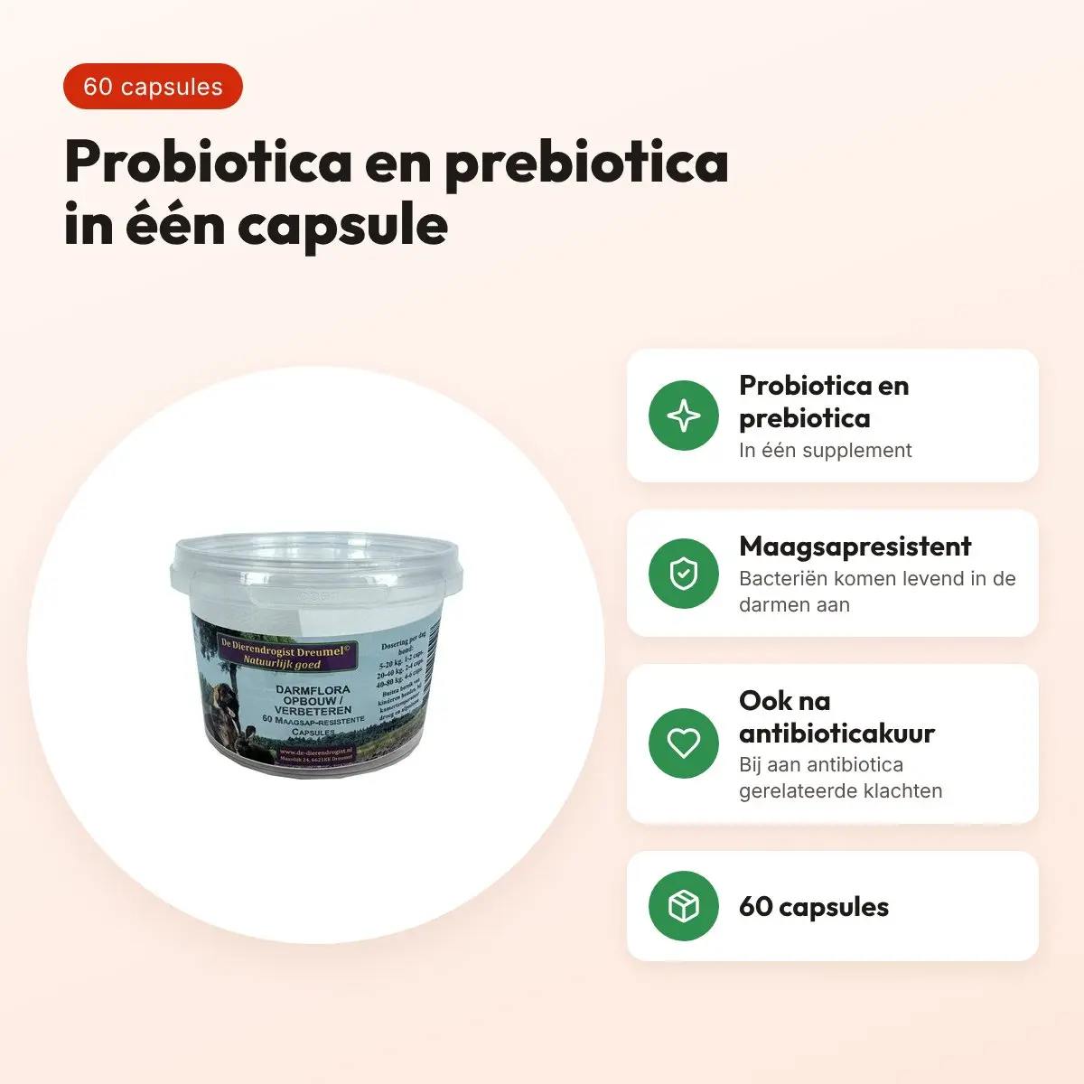 Dierendrogist darmflora opbouw capsules 60 stuks – maagsapresistent – voordelen