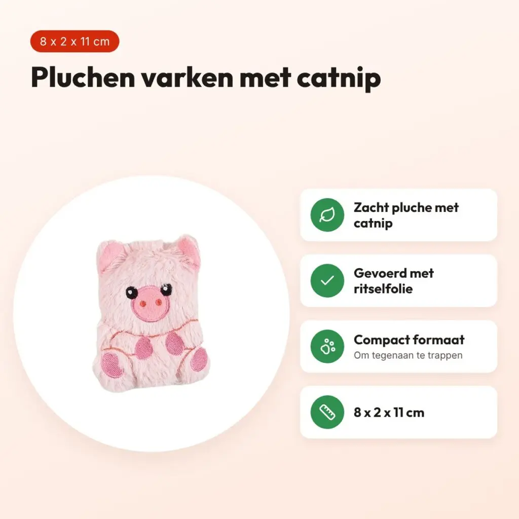 Fofos Floppy Varken kattenspeeltje 8 x 2 x 11 cm – pluche met kattenkruid – voordelen