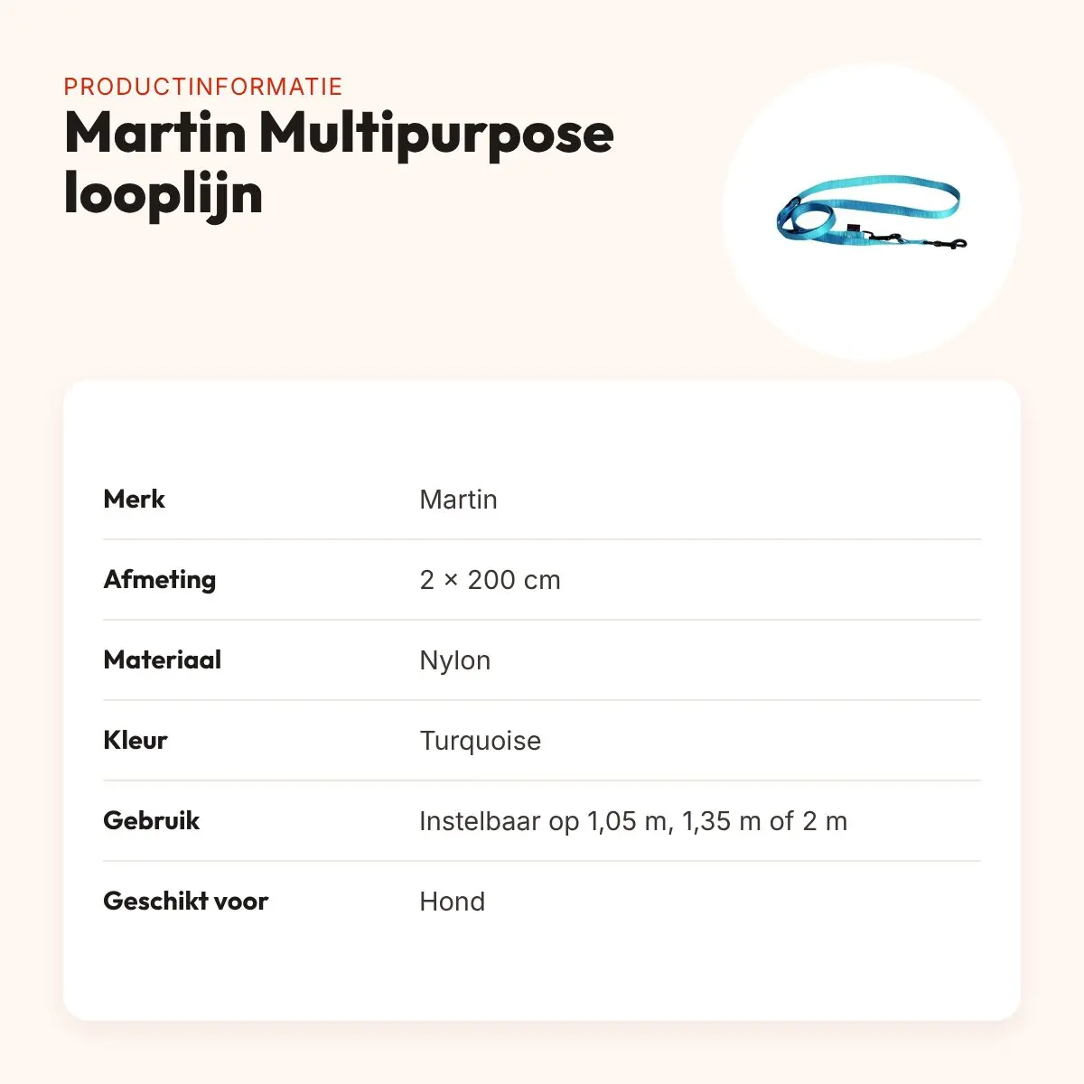 Martin looplijn Multipurpose Basic nylon turquoise 2 x 200 cm – productinformatie