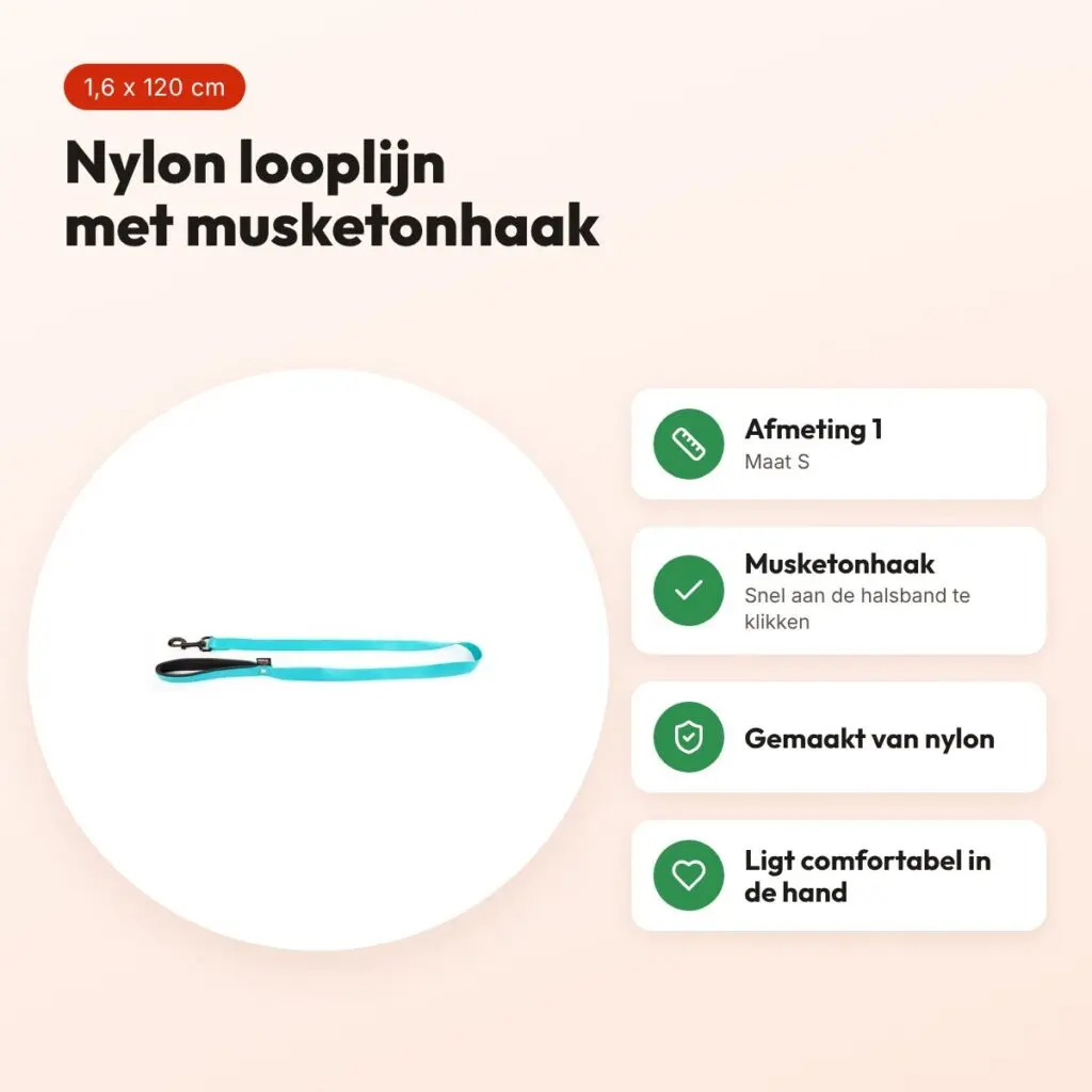 Martin looplijn nylon turquoise 1,6 x 120 cm – maat S – voordelen