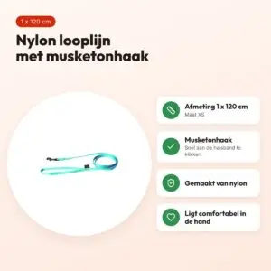 Martin looplijn nylon turquoise 1 x 120 cm – maat XS – voordelen