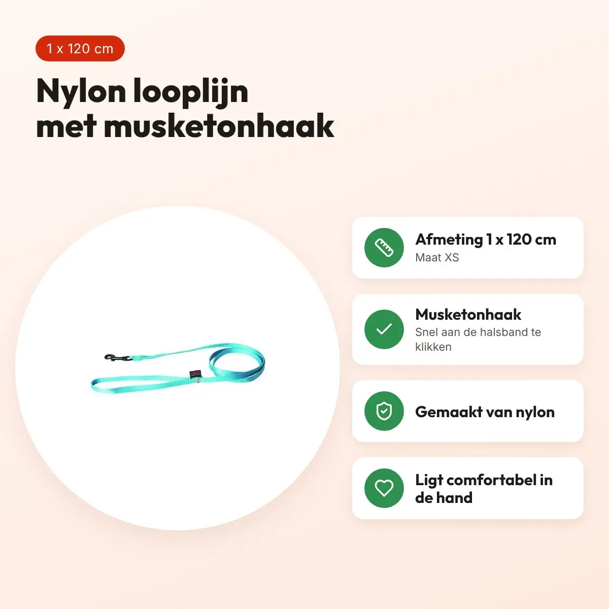 Martin looplijn nylon turquoise 1 x 120 cm – maat XS – voordelen