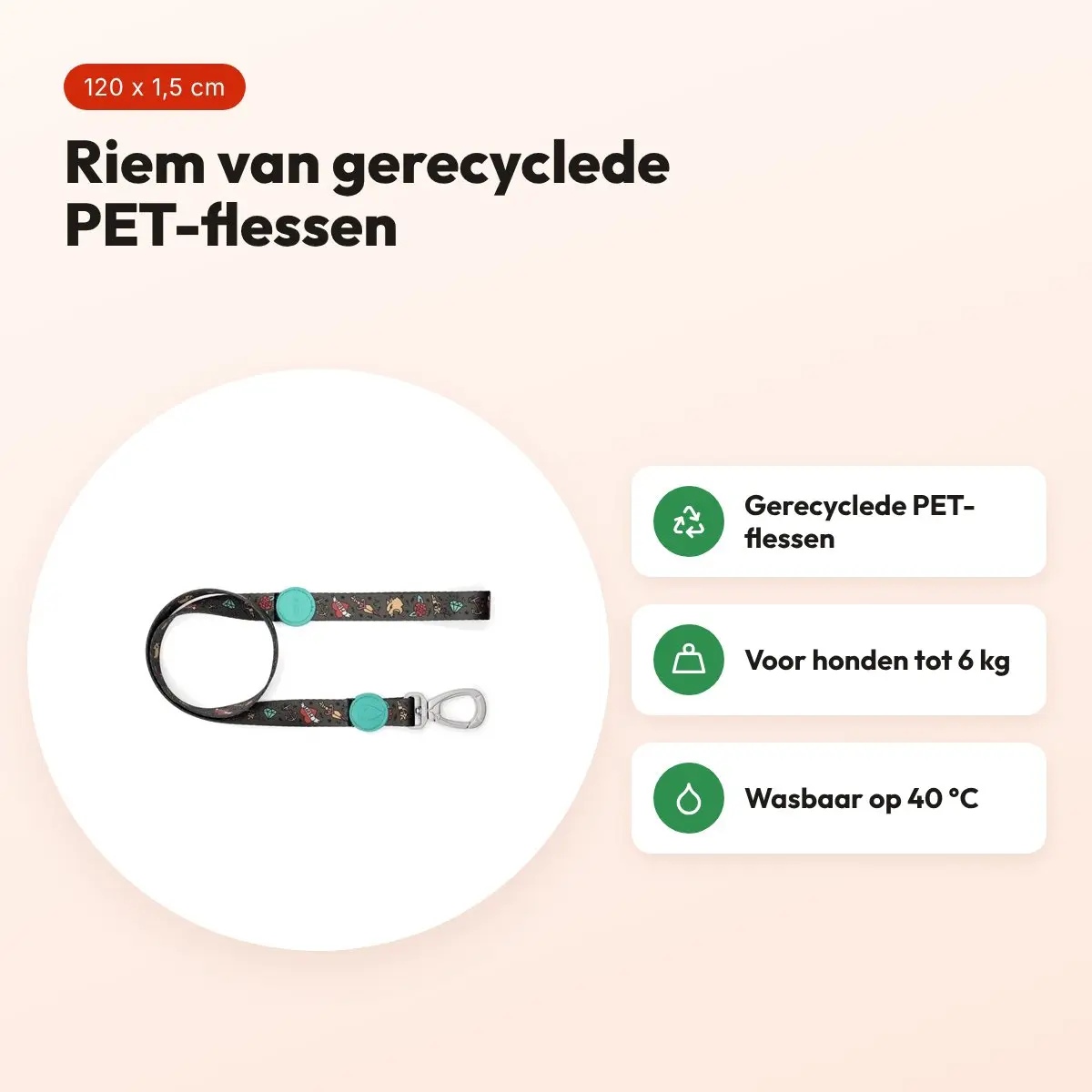 Morso hondenriem Ink Tank groen 120 x 1,5 cm – gerecycled, tot 6 kg – voordelen
