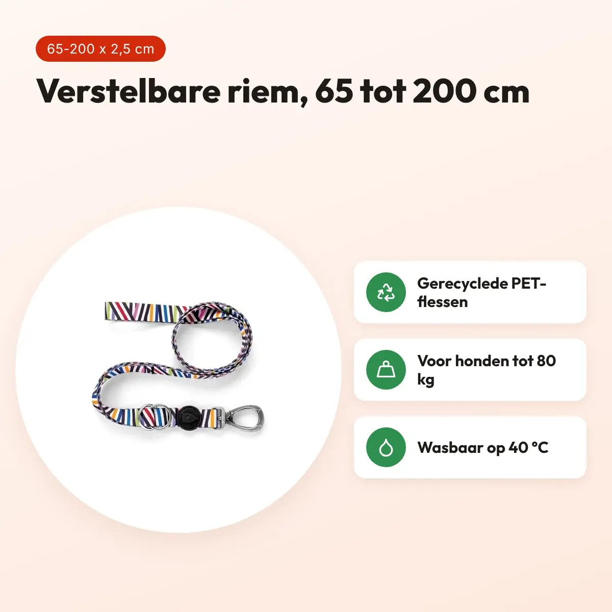 Morso hondenriem verstelbaar Spaghetti Incident 65-200 x 2,5 cm – tot 80 kg – voordelen