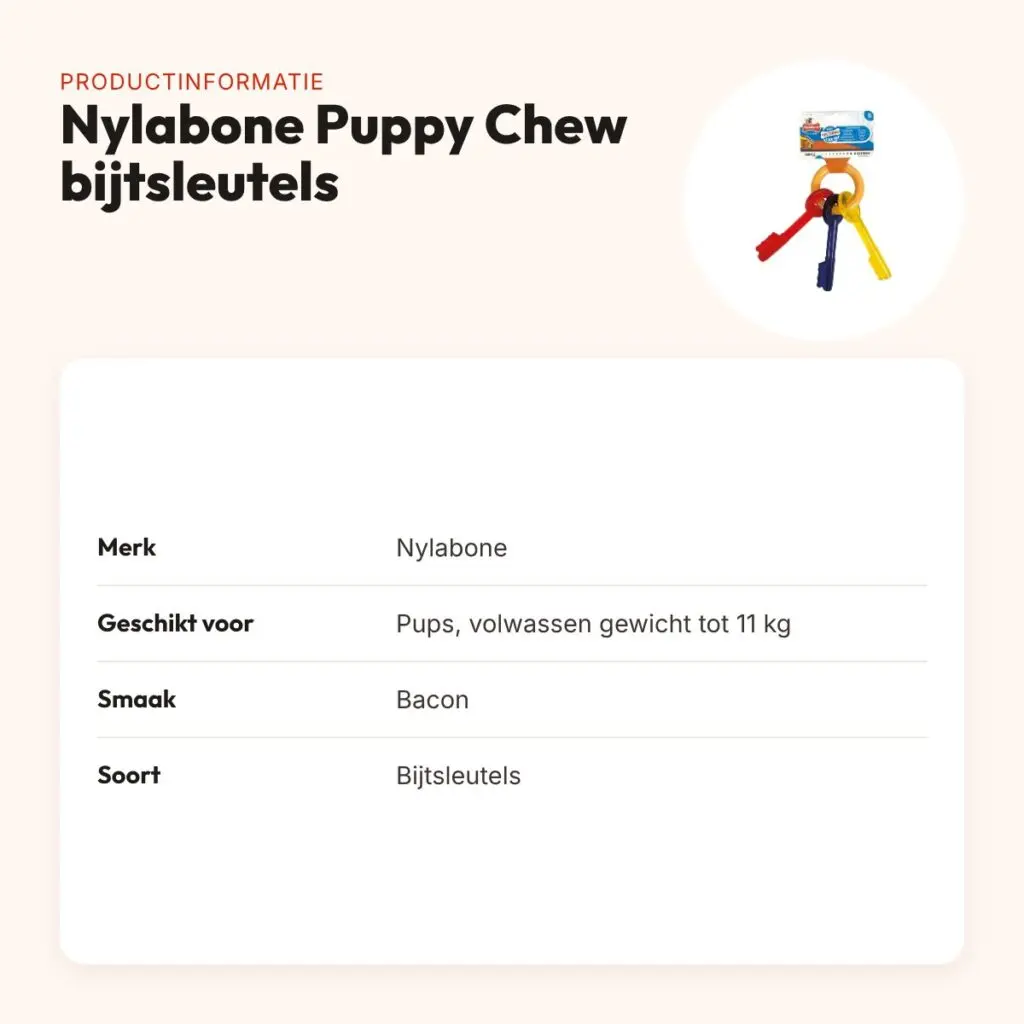 Nylabone Puppy Chew bijtsleutels baconsmaak – pups tot 11 kg – productinformatie