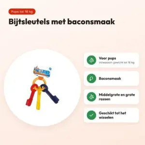 Nylabone Puppy Chew bijtsleutels baconsmaak – pups tot 16 kg – voordelen
