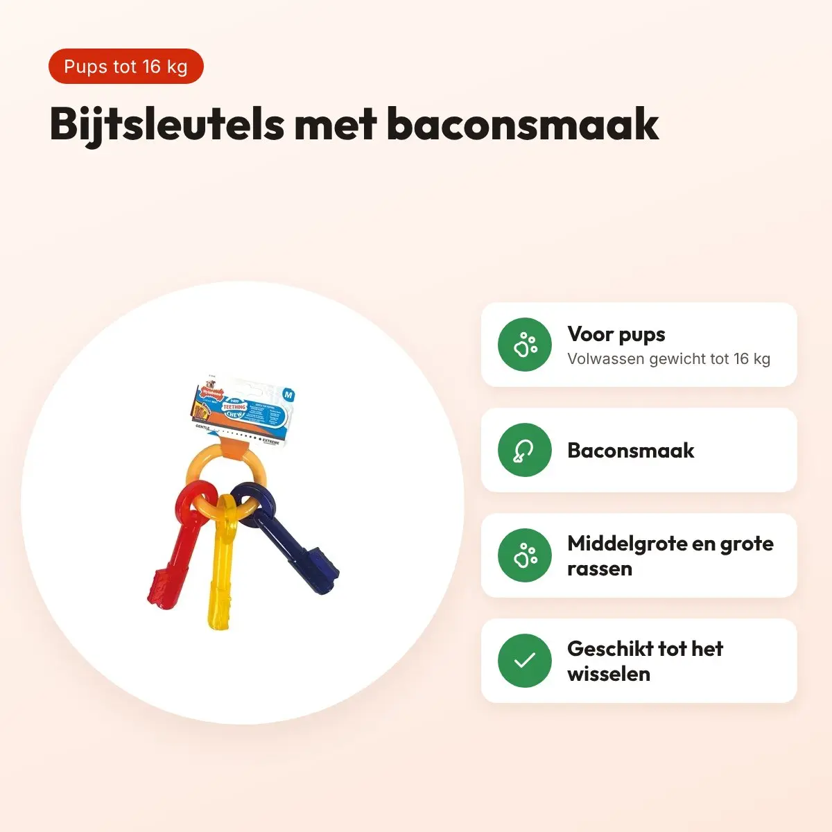 Nylabone Puppy Chew bijtsleutels baconsmaak – pups tot 16 kg – voordelen