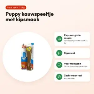 Nylabone Puppy Chew kauwspeeltje kipsmaak – pups vanaf 23 kg – voordelen
