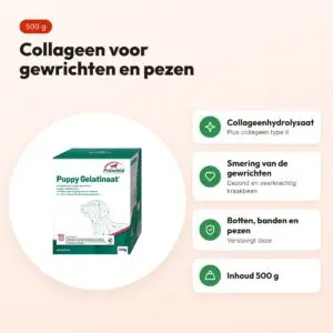 PrimeVal gelatinaat hond 500 g – collageenhydrolysaat en collageen type II – voordelen