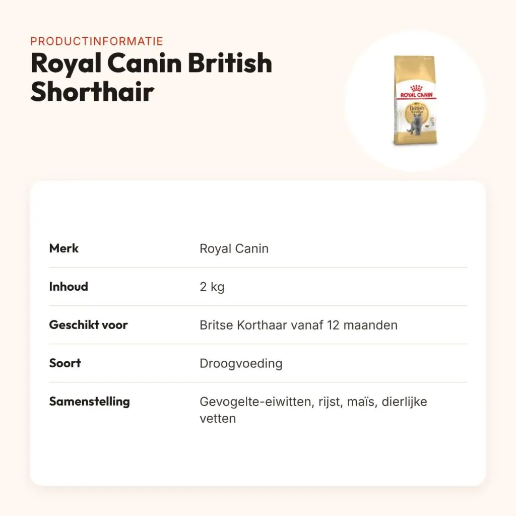 Royal Canin British Shorthair kattenvoer 2 kg – vanaf 12 maanden – productinformatie