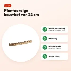 Trixie Denta Fun Veggie Jaw Bone 22 cm – plantaardige kauwsnack – voordelen