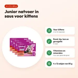 Whiskas Junior kattenvoer Classic Selectie vlees in saus 4 x 12 x 85 g – voordelen