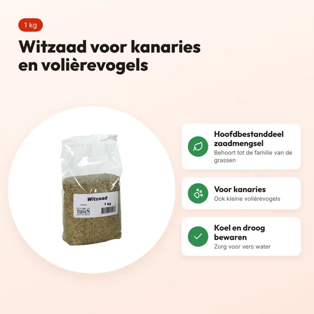 Witzaad 1 kg – aanvullend voer voor kanaries en kleine volièrevogels – voordelen