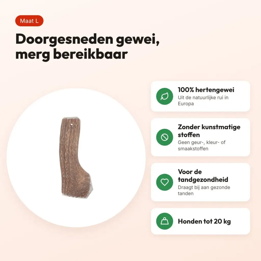 Zolux hertengewei Easy doorgesneden maat L – kauwsnack voor honden – voordelen