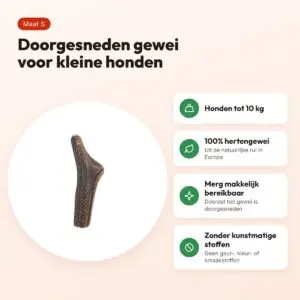 Zolux hertengewei Easy doorgesneden maat S – voor honden tot 10 kg – voordelen