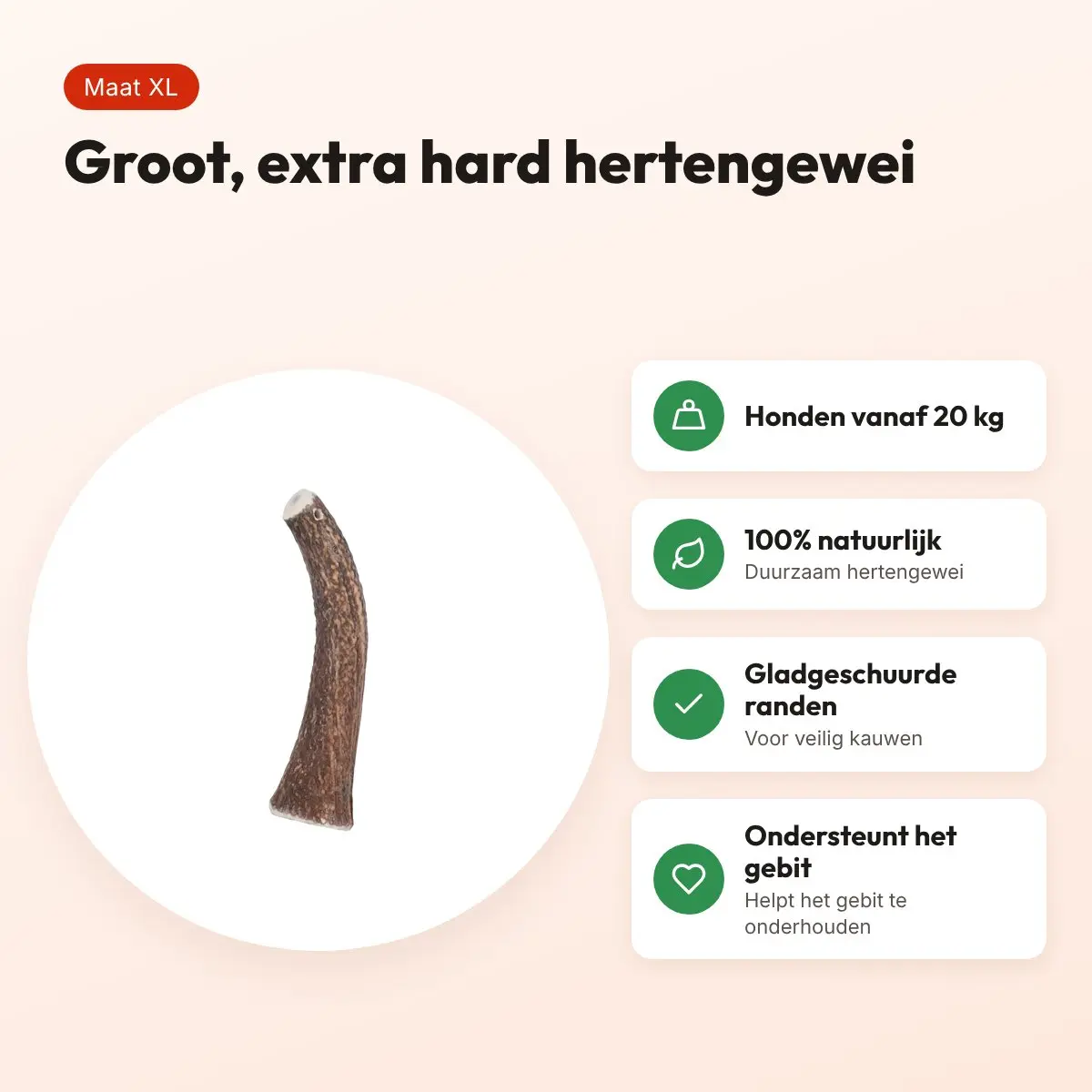 Zolux hertengewei Heel Hard maat XL – grote kauwsnack voor honden – voordelen