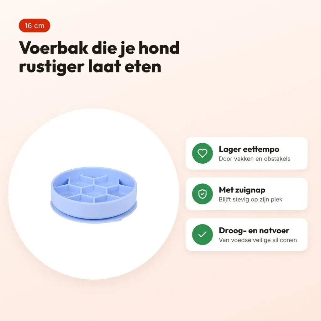 Zolux slow feed hondenvoerbak blauw 16 x 16 x 4,3 cm – zuignap – voordelen