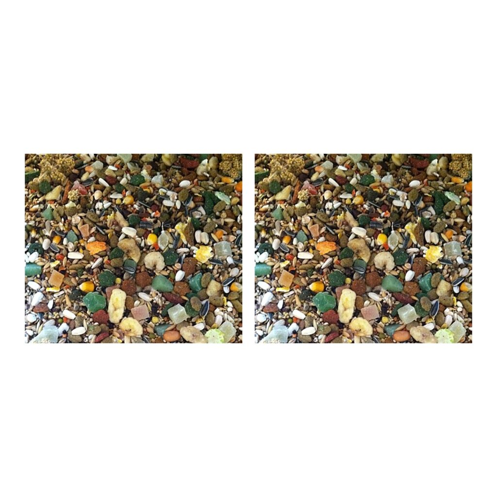 Hareco Papegaai Select papegaaienvoer zonder pellets 5 kg – 2 stuks (multipack)