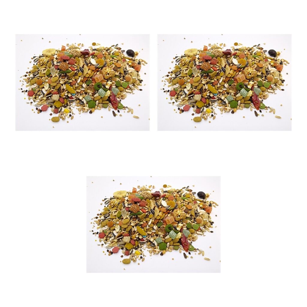 Hareco Amazone Select papegaaienvoer zonder pellets 3 kg – 3 stuks, vetarm (multipack)
