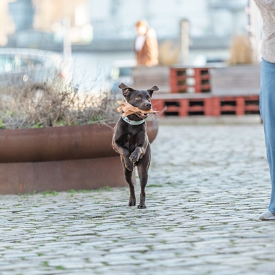 Trixie hondenspeeltje hond staand leer bruin 25 cm – met touw