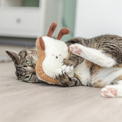 Trixie kattenspeeltje toast XXL pluche met Amerikaanse catnip 18 cm