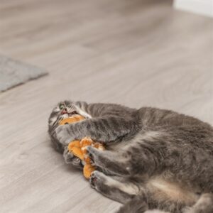 Trixie spartel schildpad pluche 14 cm – oplaadbaar kattenspeeltje - Afbeelding 7