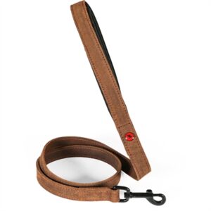 Zolux Expert hondenriem premium leer/neopreen bruin 100 x 1,5 cm - Afbeelding 1