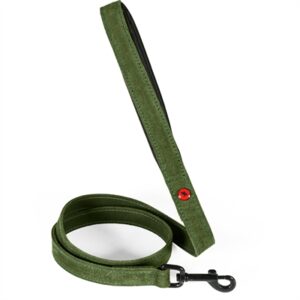 Zolux Expert hondenriem premium leer/neopreen groen 100 x 2 cm - Afbeelding 1