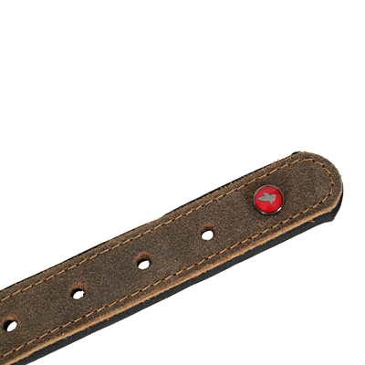 Zolux Expert halsband hond premium leer/neopreen bruin 30 x 1,4 cm