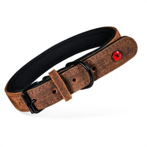 Zolux Expert halsband hond premium leer/neopreen bruin 70 x 3 cm - Afbeelding 1