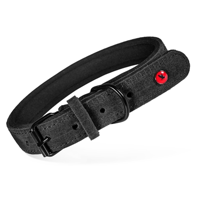 Zolux Expert halsband hond premium leer/neopreen zwart 35 x 1,4 cm