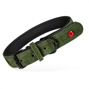 Zolux Expert halsband hond premium leer/neopreen groen 30 x 1,4 cm - Afbeelding 1