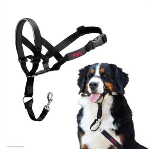 Company of Animals Halti headcollar zwart nr. 2 – tegen trekken - Afbeelding 1