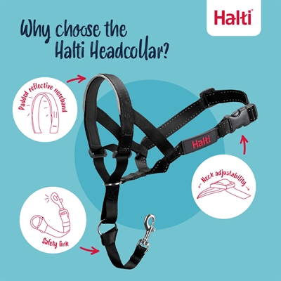 Company of Animals Halti headcollar zwart nr. 2 – tegen trekken