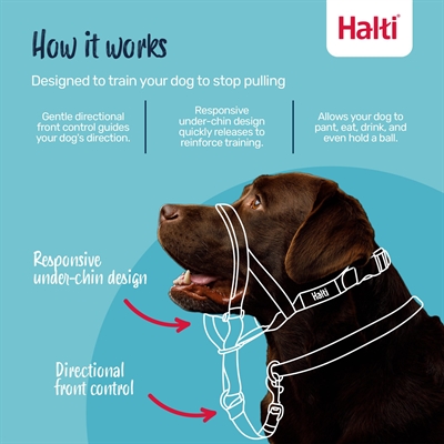 Company of Animals Halti headcollar zwart nr. 2 – tegen trekken