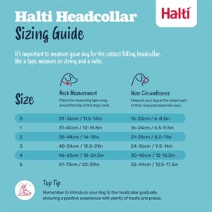 Company of Animals Halti headcollar zwart nr. 2 – tegen trekken - Afbeelding 6