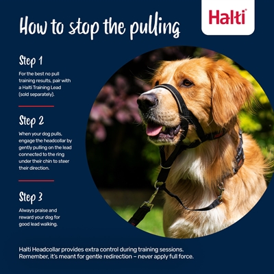 Company of Animals Halti headcollar zwart nr. 2 – tegen trekken