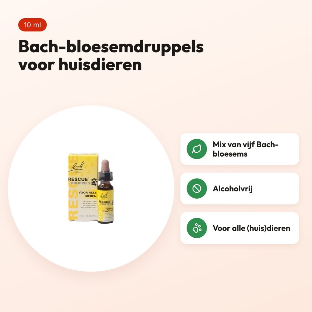 Bach Rescue Remedy Pets druppels 10 ml – alcoholvrij, voor huisdieren – voordelen