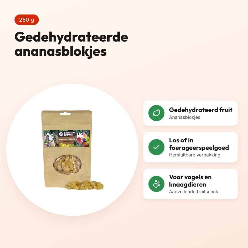 Back Zoo Nature ananas cubes 250 g – gedehydrateerde fruitsnack – voordelen