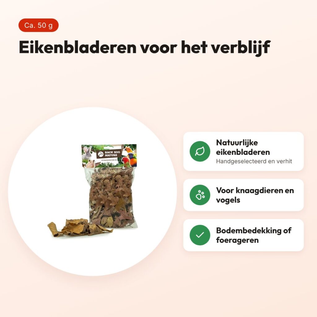 Back Zoo Nature Discovery Leaves 50 g – eikenbladeren voor het verblijf – voordelen