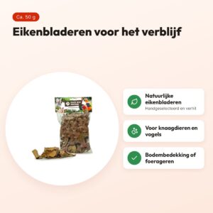 Back Zoo Nature Discovery Leaves 50 g – eikenbladeren voor het verblijf – voordelen