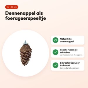 Back Zoo Nature Foraging Pine Cone 15-20 cm – dennenappel foerageerspeeltje – voordelen