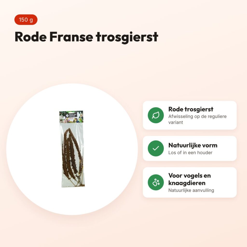 Back Zoo Nature Franse trosgierst rood 150 g – voor vogels en knaagdieren – voordelen