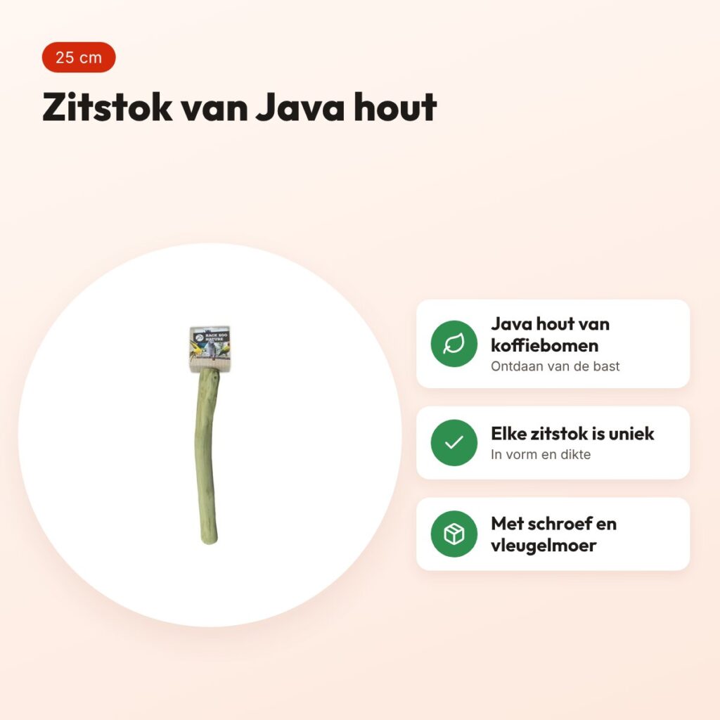 Back Zoo Nature Java Perch S 25 cm – zitstok van Java hout – voordelen