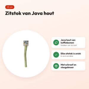 Back Zoo Nature Java Perch S 25 cm – zitstok van Java hout – voordelen