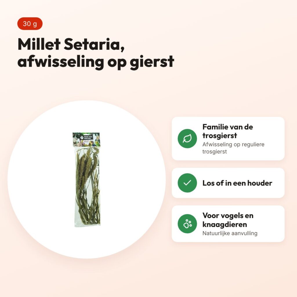 Back Zoo Nature millet Setaria 30 g – natuurlijke aanvulling – voordelen
